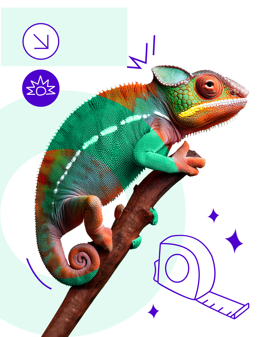 Illustration interface honō